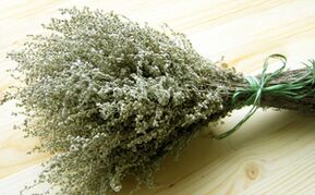 Wormwood para eliminar os parásitos do corpo