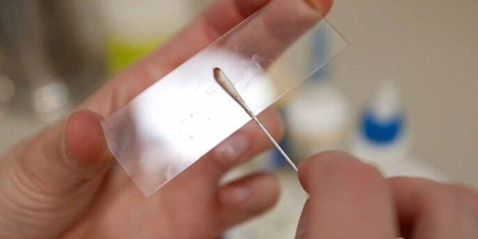 raspando a pel para parasitos